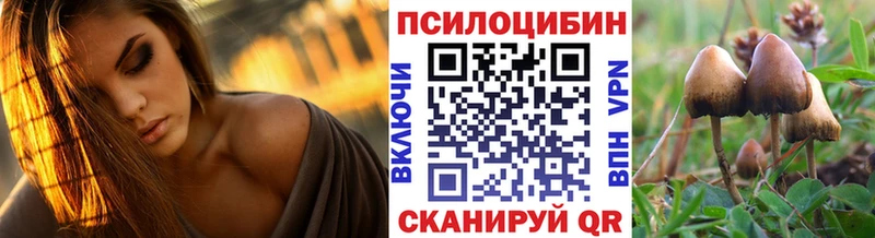 блэк спрут как войти  Каргополь  Псилоцибиновые грибы Magic Shrooms 