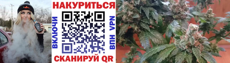 наркотики Каргополь Каннабис Amnesia